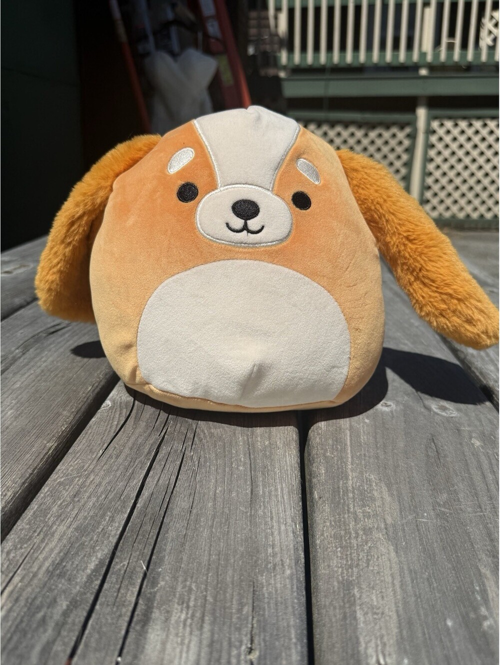 Squishmallows Dog Plush Toy Small 6-14in Washable Brown White Beige SQS-0021